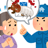 そのシロアリ業者が悪徳か依頼前に見分けるチェックポイント!